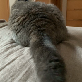 看護師さんの 言葉に泣いたの画像