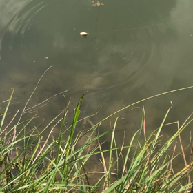 第1号クランクベイトの画像