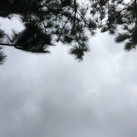 小鳥とお話しby首里城公園の画像