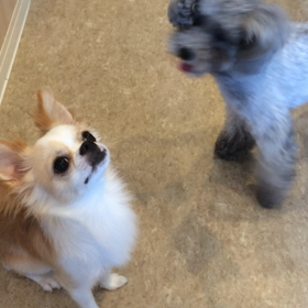 ☆お泊り中☆の画像