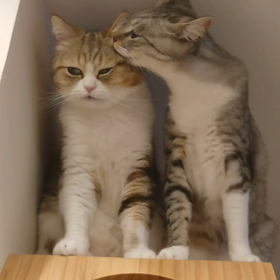 ふんふんふんの画像