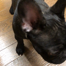 マイペースな彼女の画像