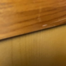 今日のマロンの画像