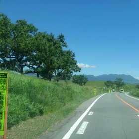 ドライブへの画像