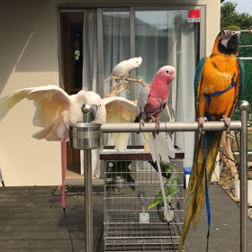 日向ぼっこの画像