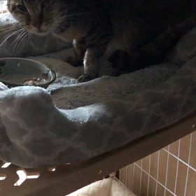 表情が和らいでいますの画像