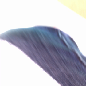 リリースの画像