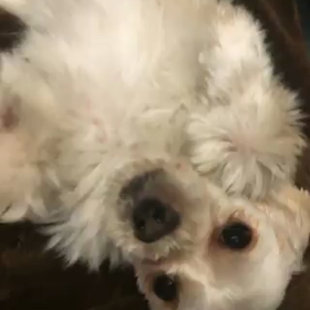 ニュースキャスターからの画像