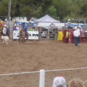 ロデオ ②の画像