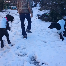 都内も白銀の画像