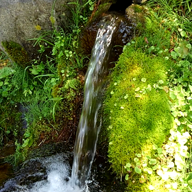 なくしものをしたときの魔法の呪文の画像