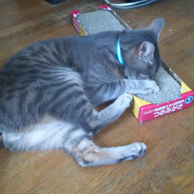 べろべろの画像