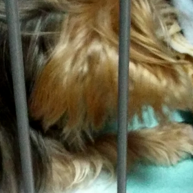 必死(笑)の画像