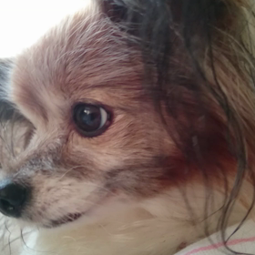 雪乃の介護日記     2の画像