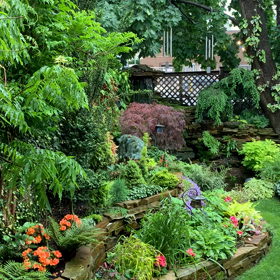 コロナ禍をサバイブしたぜパーティーの画像