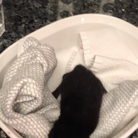 このタイミングで(　ﾟдﾟ)の画像