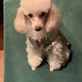 お久しぶりのレアルと姫の画像