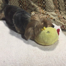 うざい第2弾の画像