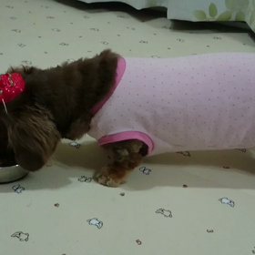 お面と、れもんの画像