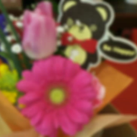 お元気でしょうかの画像