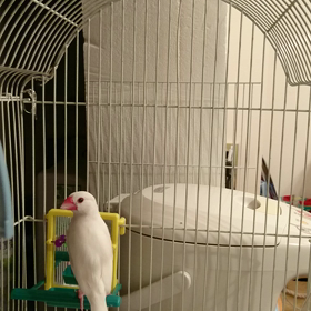 寝る準備の画像