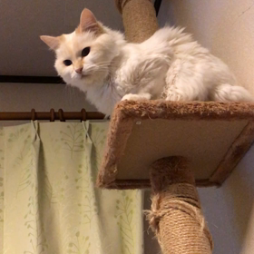 月３ペース。の画像