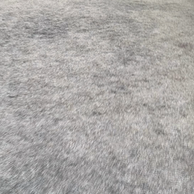 2月の伊豆旅行番外編の画像