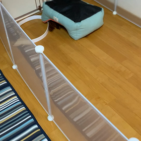 かわいいかくれんぼ♪の画像