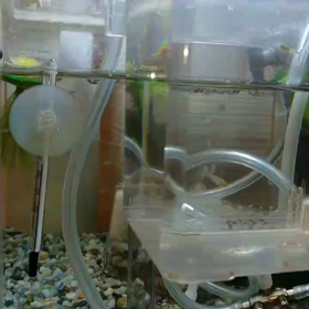 色がついてきました‼️の画像