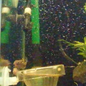 なに？？？の画像