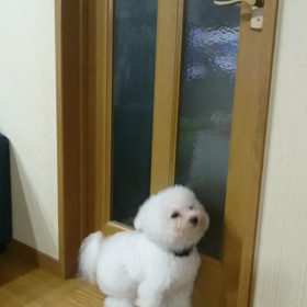 ドアもあけられますの画像