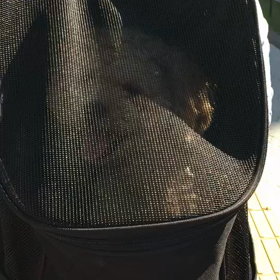 今日は...٩(ˊᗜˋ*)وの画像