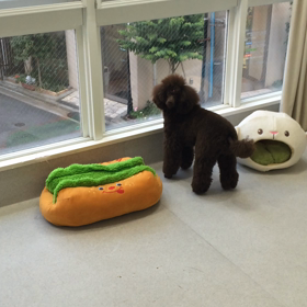 ♪プレイルーム動画♪の画像