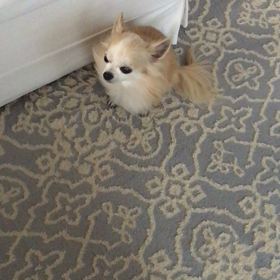 ❁︎期末テスト返却❁︎の画像