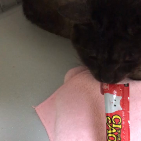 ダディ、パワーアップ！の画像