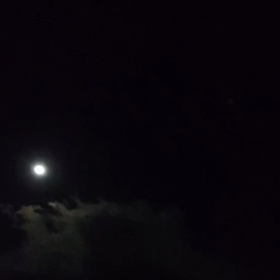 ””〜おめで太閤記〜　突然の報”” 追記の画像