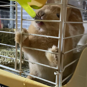 がぶ飲みで月曜日スタートの画像