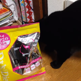 お腹空いたよ〜！の画像