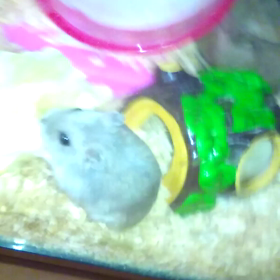 食事はゆっくり味わって下さい。の画像