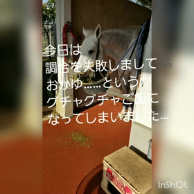 恒例のモグモグタイムの画像