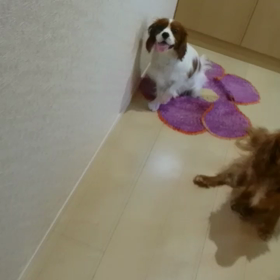 骨折かとヒヤヒヤの画像