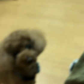 要求の仕方が可愛いのよ。の画像