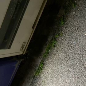 心眼ヤンキー犯罪ばれの画像