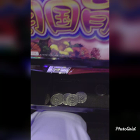 南国育ちの画像