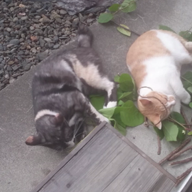 親子喧嘩！？の画像