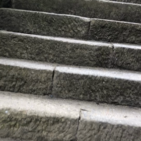 2泊4日  サンライズ出雲で行く思い出 その30 日御碕神社の鳥居の鳥の声の画像