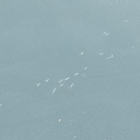 成長が楽しみの画像