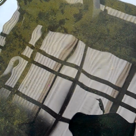 卵ぶりぶり生んでるブラックダイヤの画像