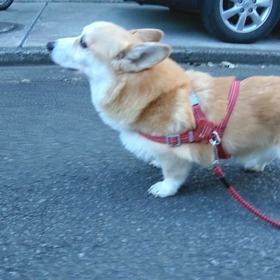 全体的に。の画像