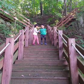 動画、試験の画像